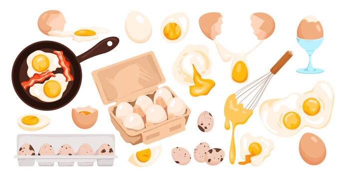 cartoon whole fresh or boiled egg in shell or peeled, cut in half and quarter, fried with yolk flowi
