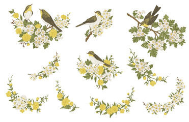 Set with birds and flowers. Blooming garden branches. Compositions with plant elements and birds. Flower garlands. Vintage illustration. Colorful.