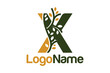 Letter X alphabet and growing leaves concept. Very suitable for symbol, logo, company name, brand name, personal name, icon, identity, business, marketing and many more.