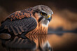 Falcon or red-tailed hawk swimming in water. Isolated on blurred background. Stunning birds and animals in nature travel or wildlife photography made with Generative AI