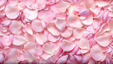 Soft Pink Background With Various Pink Petals Of Roses. Generative AI