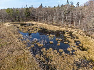 Wall Mural - aerial view of small lake nearby a forest early spring