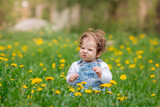 Fototapeta Dmuchawce - Happy little baby girl sitting on a green meadow with yellow flowers dandelions on the nature in the park