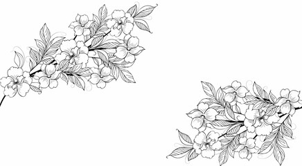 Wall Mural - Floral background, Floral composition, floral background with tender flowers and branches of buds. Hand drawing. For stylized decor, invitations, postcards, posters, cards, backgrounds, as clipart