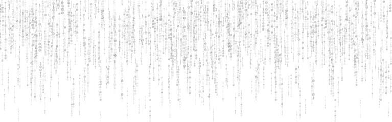 binary code on white background. abstract matrix stream. running numbers template for website or pos