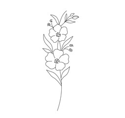 Wall Mural - vector isolated one single branch with flowers colorless black and white contour line easy drawing