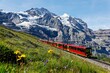 © AaronPlayStation - A tourist train travels on Jungfrau Railway from Jungfraujoch (Top of Europe) to Kleine Scheidegg & wild flowers bloom on a green grassy hillside under blue sunny sky in Bernese Oberland, Switzerland