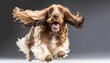  a brown and white dog is running with its hair in the air and it's eyes open and it's mouth wide open.  generative ai