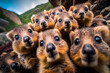 Highly defined macrophotography selfie of a group of Quokkas huddled together taking a group selfie on top of Zhangjiajie mountains generatuve ai