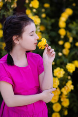 Wall Mural - Child girl 6-7 year old smelling yellow rose flower posing over blooming bushes in garden closeup outdoor. Little child wear pink cute dress. Springtime.