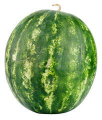 Wall Mural - Single ripe watermelon isolated on transparent background