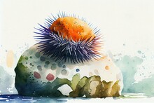 A Sea Urchin Clinging To A Rock, Watercolor Style. Generative AI