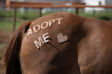 Horses rear end hind quarters or haunches wiht adopt me wording and heart in letters paste on to the horse shot at horse adoption event in Santa fe new mexico by horse rescue companies horizoal format