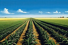 Vast Corn Field With Rows Upon Rows Of Stalks And A Bright Blue Sky, Concept Of Panoramic And Abundance, Created With Generative AI Technology