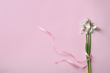 Wall Mural - Beautiful snowdrops on pink background, top view. Space for text
