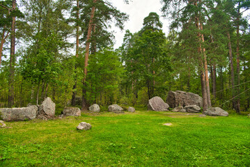 Wall Mural - Stones in the green meadow with pines and birches Park Mon Repos, Vyborg, Russia