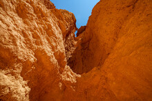 Orange Rocks Inside Bryce Canyon In Utah