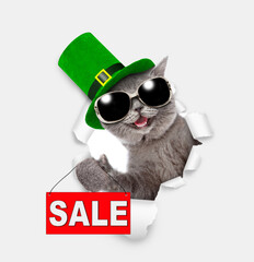 Saint Patricks Day concept. Funny cat wearing sunglasses and green hat of the leprechaun looks through the hole in white paper and shows signboard with labeled 