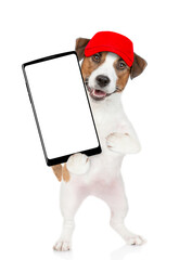 Poster - Jack russell terrier puppy wearing red cap holds big smartphone with white blank screen in it paw, showing close to camera. isolated on white background