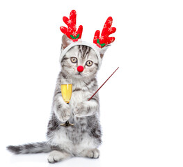 Poster - Funny kitten dressed like santa claus reindeer Rudolf holds glass of champagne and points away on empty space. isolated on white background