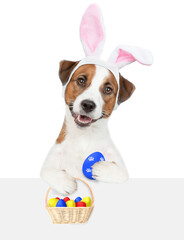 Aufkleber - Funny Jack Russell terrier puppy wearing easter rabbits ears holds basket of painted eggs and looks above empty white banner. Isolated on white background