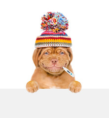 Poster - Smiling puppy wearing warm hat holds thermometer in it mouth and looks above empty white banner. isolated on white background