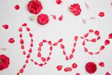 Overhead View Of Petals Decorated As Love Text Over White Background
