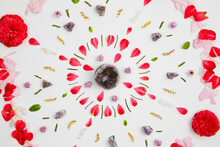 Overhead View Of Flower Petals Decorated Over White Background