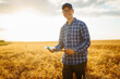 © maxbelchenko - Farmer on a wheat field with a tablet in his hands. Idea of a rich harvest.
