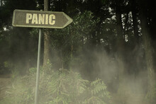 Old Signboard With Text Panic Near The Green Sinister Forest