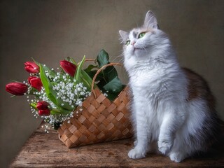 Wall Mural - Pretty kitty and bouquet of red tulips