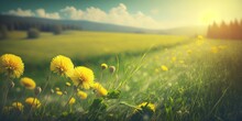 A Serene Backdrop Of Blurred Spring And Summer Scenery: Verdant Meadow Dotted With Dandelions Under Blue Skies, Generative AI