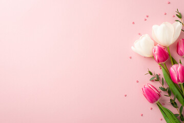 Wall Mural - Mother's Day atmosphere concept. Top view photo of bouquet of spring flowers pink white tulips and heart shaped sprinkles on isolated pastel pink background with empty space