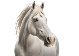 Fototapeta  - Horse isolated on white, transparent background, PNG, generative ai