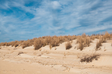 The sand dunes along the beach at 