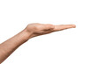 © Snizhana - Male hand palm up, isolate.