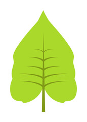 Poster - Autumn leave, green icon. Simple line, outline of color leaves icons for ui and ux, website or mobile application on white background