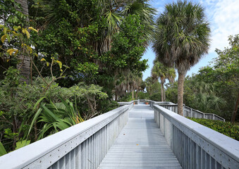 Walkway at Anne Kolb Nature Center.  Anne Kolb is a 1,501-acre, free coastal mangrove wetland park in Hollywood, Florida, USA. 