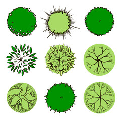 Simple trees, top view