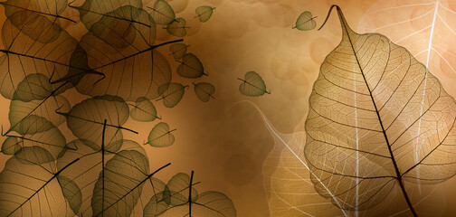 Wall Mural - leaf with veins and cells macro photography