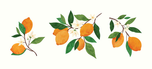 branch of lemon tree