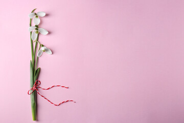Wall Mural - Beautiful snowdrops on pink background, top view. Space for text
