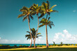 © Ryan Longnecker - Lonely Palm Tree Landscape