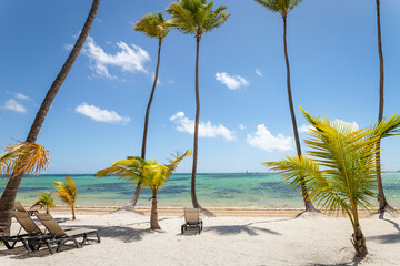 Wall Mural - Tropical beach in caribbean sea, idyllic Saona island, Dominican Republic