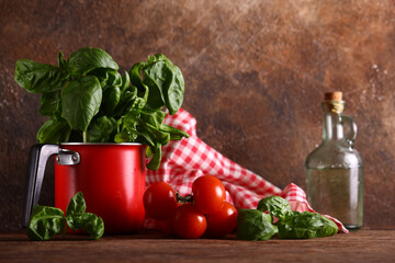 italy still life tomatoes basil fresh food