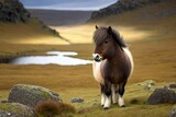 A picture of a Shetland pony standing alone on a Scottish moor in the Shetland Islands. Generative AI