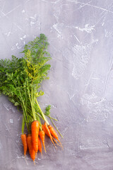 Wall Mural - Bunch of fresh carrots with green leaves over wooden background.