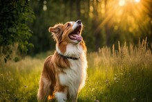 Dog Outdoors, A Beautiful Energetic Dog (Ai Generated)