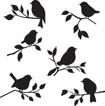 Bird On A Branch Set Icon Vector Illustration, SVG
