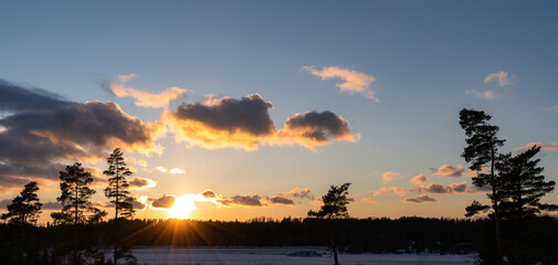 Wall Mural - sunset sky over the forest in the countryside. nature background